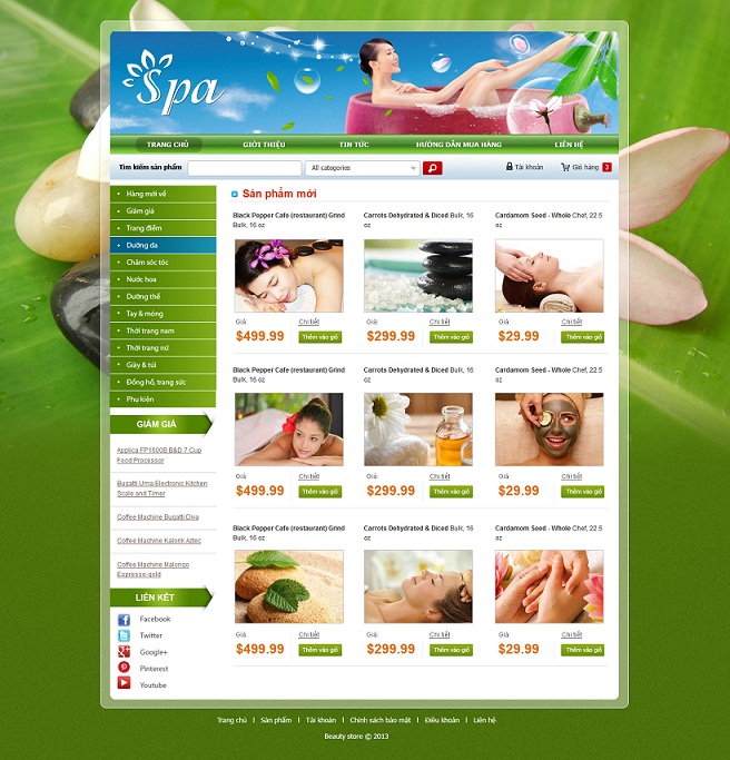 20 mẫu website chuyên nghiệp, chuẩn SEO dành cho spa, làm đẹp